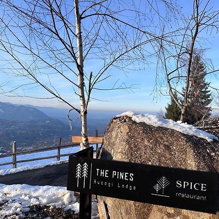 The Pines Bucegi Lodge Bran  Ngoại thất bức ảnh